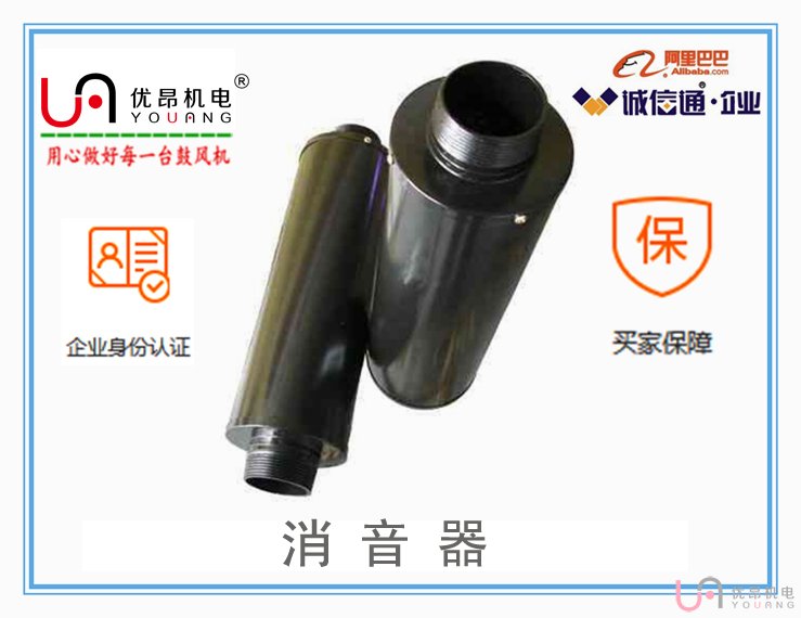 鼓风机专用消音器